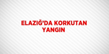 23223316452483824598tasarimli
