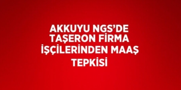 23225260602174024574tasarimli