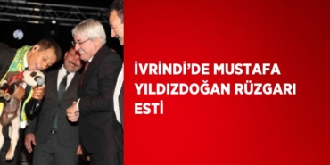 23242299992997527384