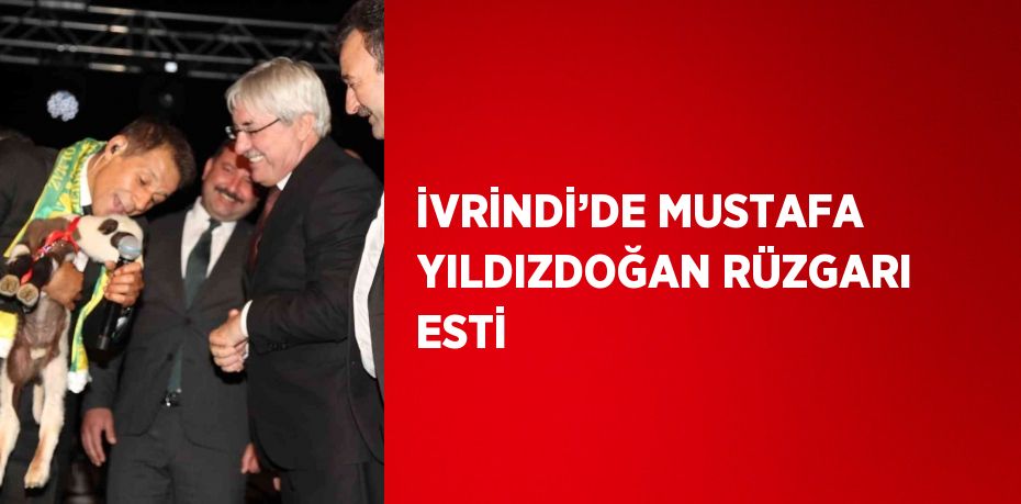 23242299992997527384