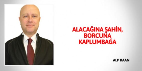 ALACAĞINA ŞAHİN, BORCUNA KAPLUMBAĞA