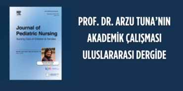 23245229002772026025