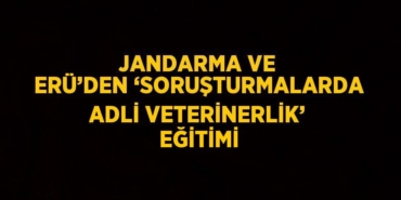 23247203552725222490tasarimli