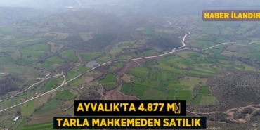 23248247852740331117tasarimli