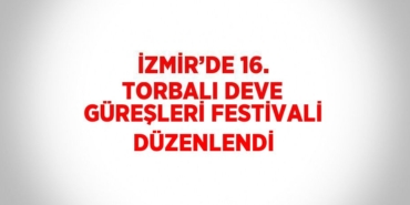 23249287973007725741tasarimli