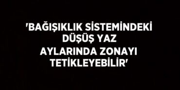 23252293882446025811tasarimli