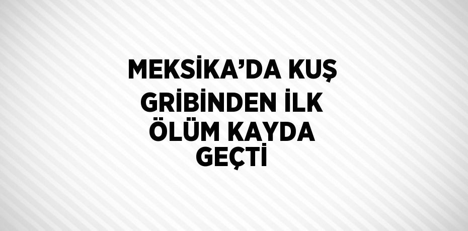 23265299252917425216tasarimli