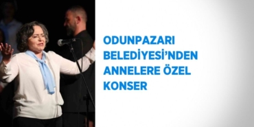 23270248812259729137