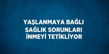 23272249783160025576tasarimli