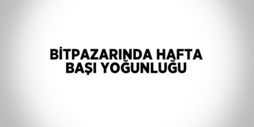 23275213502435121693tasarimli