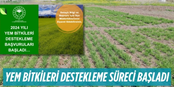 YEM BİTKİLERİ DESTEKLEME SÜRECİ BAŞLADI