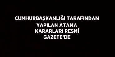 23283229642149620906tasarimli