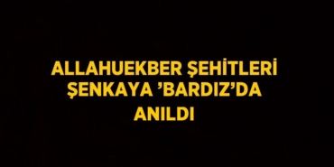 23288221012895123039tasarimli