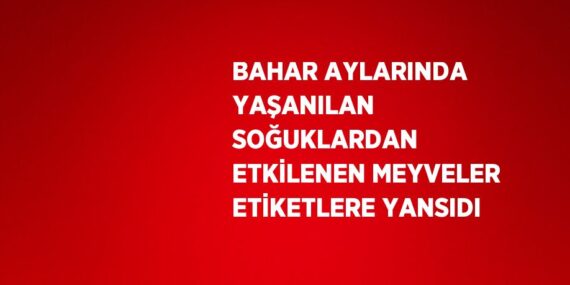 BAHAR AYLARINDA YAŞANILAN SOĞUKLARDAN ETKİLENEN MEYVELER ETİKETLERE YANSIDI