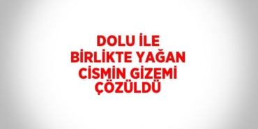 23292303792215328217tasarimli