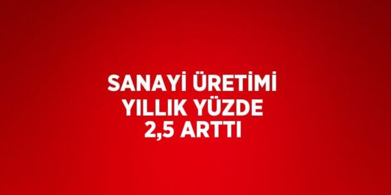 SANAYİ ÜRETİMİ YILLIK YÜZDE 2,5 ARTTI
