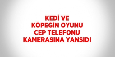 23303307332557630275tasarimli