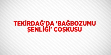 23305266712835829329tasarimli