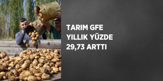 TARIM GFE YILLIK YÜZDE 29,73 ARTTI