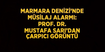 23314219462050629182tasarimli