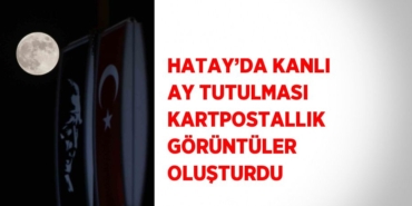 23321283822664226571