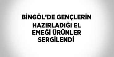 23322269432188431718tasarimli