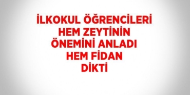 23323234602958431352tasarimli