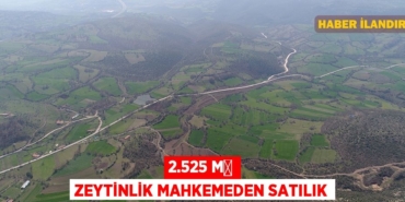 23324307612176122614tasarimli