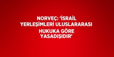 23327301392205921598tasarimli