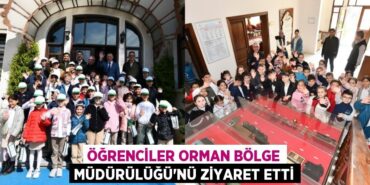 23328266492427821403tasarimli