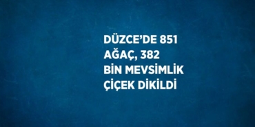 23337298412238625599
