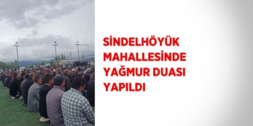 23341247412639323219