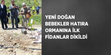 23345278082626327484