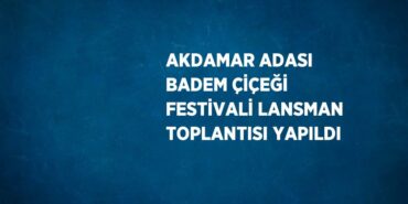 23345305342667431713