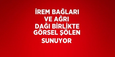 23350305362911424760tasarimli