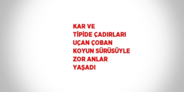 23350316493125121610