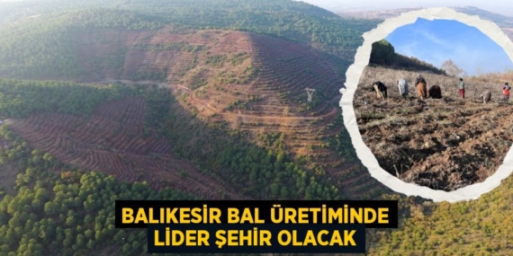 BALIKESİR BAL ÜRETİMİNDE LİDER ŞEHİR OLACAK