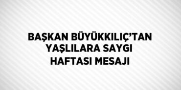 23353308373033125337tasarimli