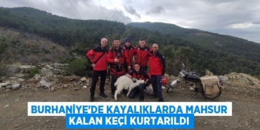 23360245732430524756tasarimli