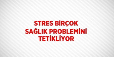 23364233003097025999tasarimli