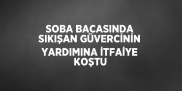 23367283362677421360tasarimli