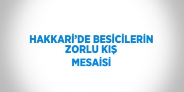 23370275912265024040tasarimli