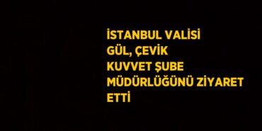 23372208352067928089