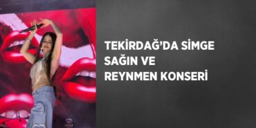 23373308632519720058