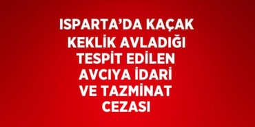 23383305022507229064tasarimli