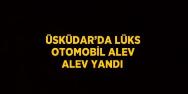 23385247432031329766tasarimli