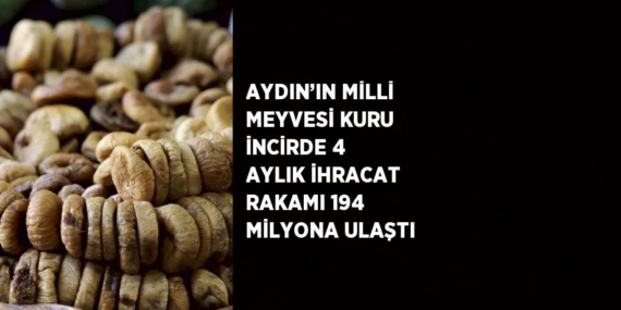AYDIN’IN MİLLİ MEYVESİ KURU İNCİRDE 4 AYLIK İHRACAT RAKAMI 194 MİLYONA ULAŞTI