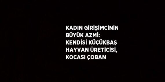 KADIN GİRİŞİMCİNİN BÜYÜK AZMİ: KENDİSİ KÜÇÜKBAŞ HAYVAN ÜRETİCİSİ, KOCASI ÇOBAN
