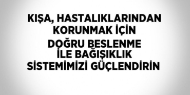 23409243532449825793tasarimli