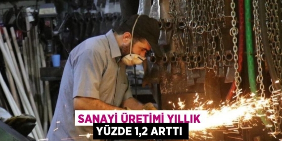 SANAYİ ÜRETİMİ YILLIK YÜZDE 1,2 ARTTI